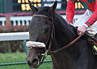 Zito Confident in Two Belmont Contenders
