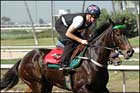 Anamato Makes U.S. Debut in American Oaks Anamato Makes U.S. Debut in American Oaks
