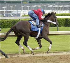 Zito Pleased With Works by Sun King, Andromeda's Hero Zito Pleased With Works by Sun King, Andromeda's Hero