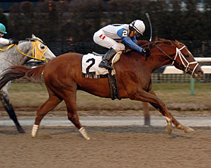 Angliana Tops 'Attire in Aqueduct Angliana Tops 'Attire in Aqueduct