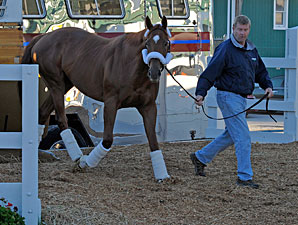 Animal Kingdom Arrives on Beautiful Morning Animal Kingdom Arrives on Beautiful Morning