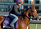 Novak At the Track: Pure Animal