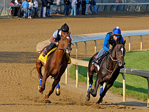 Animal Kingdom Has Good First Work on Dirt Animal Kingdom Has Good First Work on Dirt