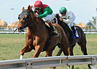 Animal Kingdom vs. Point of Entry in GP Turf Animal Kingdom vs. Point of Entry in GP Turf