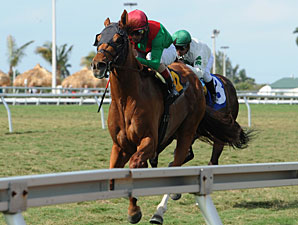 Animal Kingdom Arrives at Keeneland Animal Kingdom Arrives at Keeneland