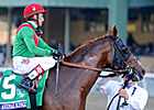 Animal Kingdom on Course for 2013 Campaign