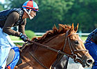 Breaking the Animal: Bradshaw's View