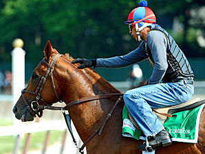 Animal Kingdom 2-1 Belmont Choice; Post 9 Animal Kingdom 2-1 Belmont Choice; Post 9