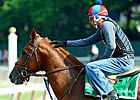 Animal Kingdom 2-1 Belmont Choice; Post 9