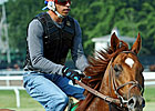 Belmont Preview: Animal Kingdom One to Beat
