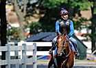 Haskin's Belmont Report: Look to the Exotics