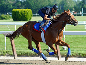 Animal Kingdom Has First Work at Fair Hill Animal Kingdom Has First Work at Fair Hill