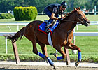 Animal Kingdom Has First Work at Fair Hill Animal Kingdom Has First Work at Fair Hill