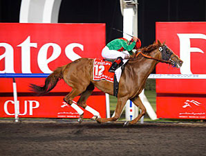 WGOH: The World's Horse