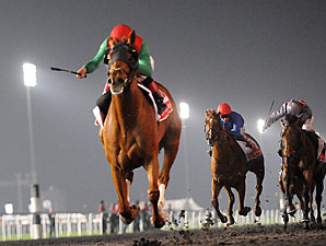 Animal Kingdom Bids for Unprecedented Triple Animal Kingdom Bids for Unprecedented Triple