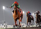 Animal Kingdom Ready for Royal Ascot Animal Kingdom Ready for Royal Ascot