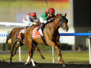 Animal Kingdom in Final Queen Anne Workout Animal Kingdom in Final Queen Anne Workout