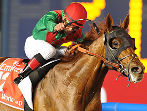Animal Kingdom Works Toward Royal Ascot Animal Kingdom Works Toward Royal Ascot