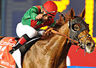 Animal Kingdom Works Toward Royal Ascot Animal Kingdom Works Toward Royal Ascot
