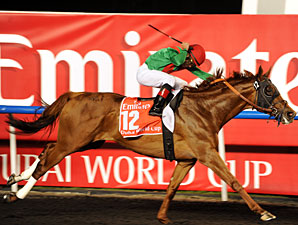 Darley Acquires Interest in Animal Kingdom Darley Acquires Interest in Animal Kingdom