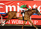 Darley Acquires Interest in Animal Kingdom Darley Acquires Interest in Animal Kingdom