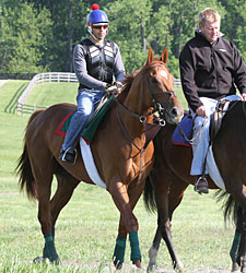Animal Kingdom Jogs at Fair Hill Animal Kingdom Jogs at Fair Hill