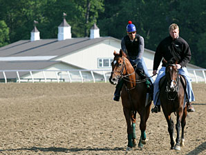 Animal Kingdom in Good Company at Fair Hill Animal Kingdom in Good Company at Fair Hill
