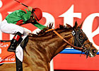 Slideshow: Dubai World Cup Day 2013 Slideshow: Dubai World Cup Day 2013