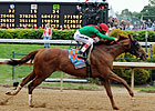 Full Gate of 14 Expected for Preakness Full Gate of 14 Expected for Preakness