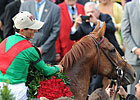 A Lot to Look Forward to in 2012