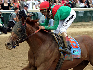 Animal Kingdom's History-Making Pedigree Animal Kingdom's History-Making Pedigree