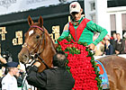 Animal Kingdom Breezes For Tampa Debut Animal Kingdom Breezes For Tampa Debut