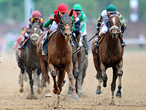 Animal Kingdom Awarded for Classic Success Animal Kingdom Awarded for Classic Success