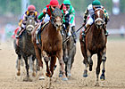 Animal Kingdom Awarded for Classic Success Animal Kingdom Awarded for Classic Success