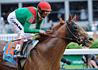 Animal Kingdom Injured, to Miss Some Time Animal Kingdom Injured, to Miss Some Time