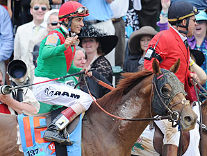 Animal Kingdom Has Successful Surgery Animal Kingdom Has Successful Surgery