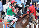 Animal Kingdom Has Successful Surgery