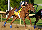 Haskin's Derby Report: An Animal on Dirt? Haskin's Derby Report: An Animal on Dirt?
