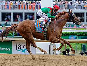 Animal Kingdom Roars to Derby Victory Animal Kingdom Roars to Derby Victory
