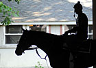 2011 Belmont Stakes - Predict the Order