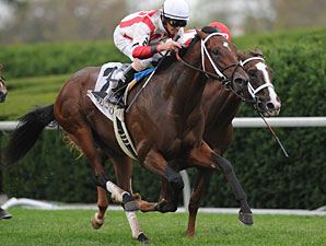 Bizarre Bourbon Won by Maiden Animal Spirits Bizarre Bourbon Won by Maiden Animal Spirits
