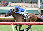 Anjaz Aces Orchid Second Time Around Anjaz Aces Orchid Second Time Around