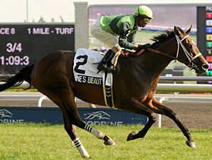 Anne's Beauty Wins First On Turf at Woodbine Anne's Beauty Wins First On Turf at Woodbine