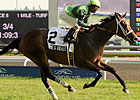 Anne's Beauty Wins First On Turf at Woodbine