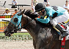 Broodmare Prospects Added to F-T KY Sale Broodmare Prospects Added to F-T KY Sale