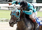 Another Romance, Citizen Advocate Top Azalea