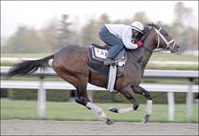 Pletcher Works Derby Trio, Oaks Favorite Pletcher Works Derby Trio, Oaks Favorite