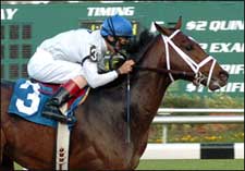 Kentucky Derby Trail: Two for the Road Kentucky Derby Trail: Two for the Road