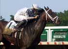 Any Given Saturday to Join Darley Team