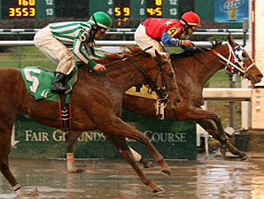 Stakes Winner Anything But Quiet Retired Stakes Winner Anything But Quiet Retired